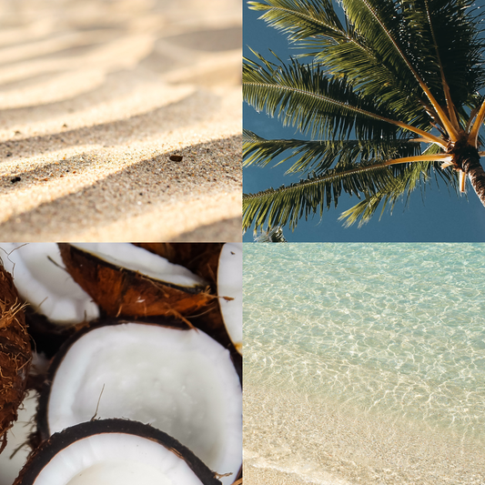 A four-panel mood board featuring tropical beach imagery. The top left quadrant shows sunlit, rippled sand, the top right shows palm tree fronds against a blue sky, the bottom left shows halved fresh coconuts, and the bottom right shows clear, sparkling ocean water.
