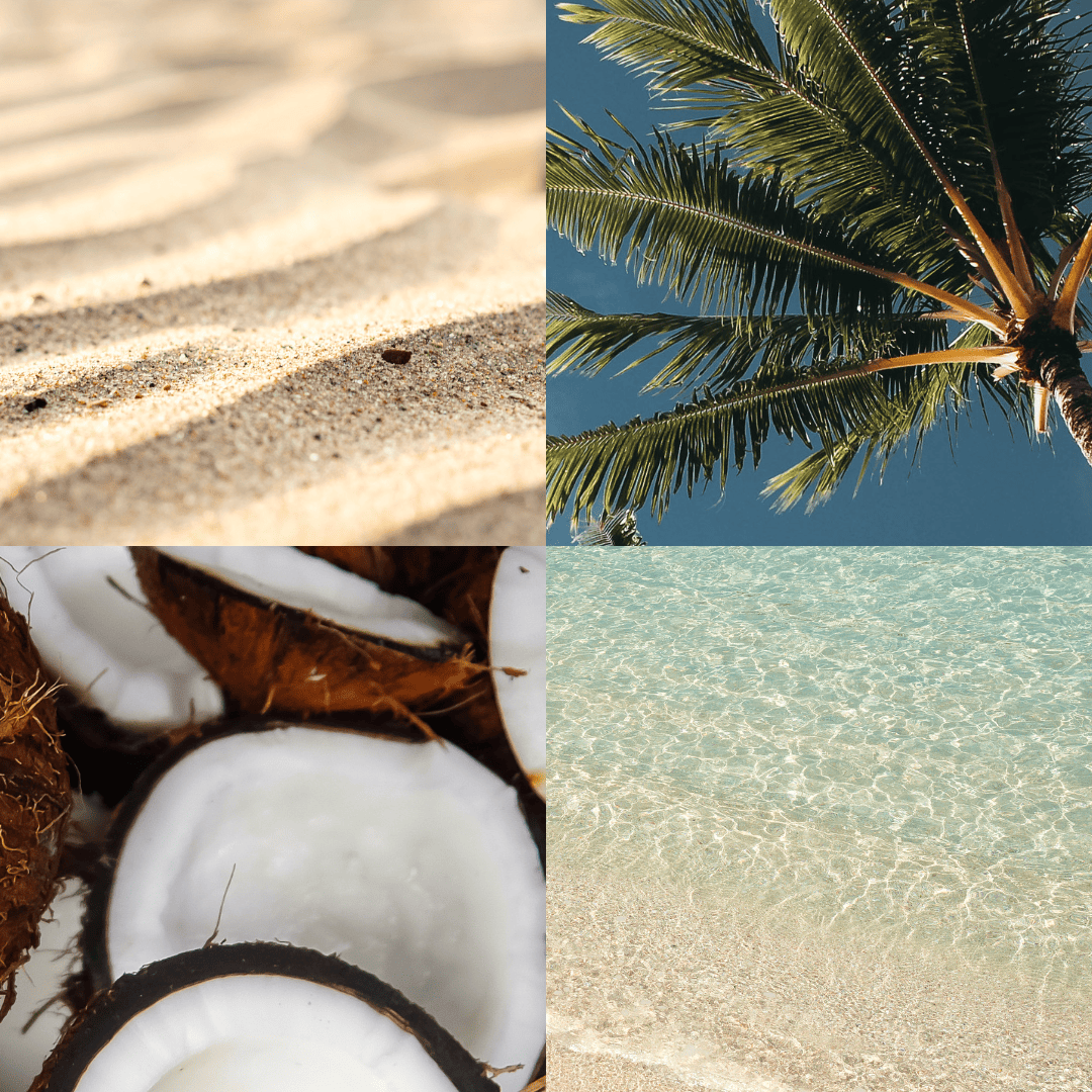 A four-image aesthetic collage representing the Island Dream scent profile. Clockwise from top left: textured beach sand, a green palm tree against a blue sky, clear tropical ocean water over sand, and several cracked open coconuts showing white meat.