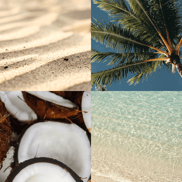 A four-image aesthetic collage representing the Island Dream scent profile. Clockwise from top left: textured beach sand, a green palm tree against a blue sky, clear tropical ocean water over sand, and several cracked open coconuts showing white meat.